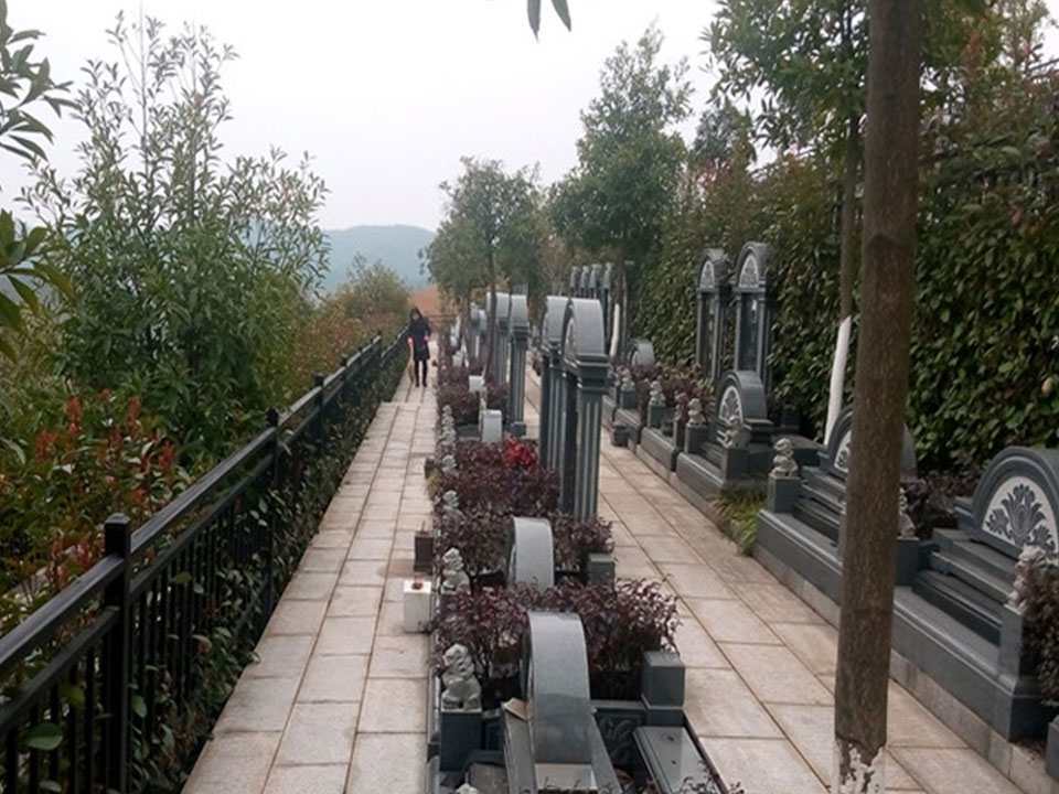 帅印山公墓-墓区景观
