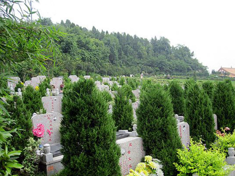 茅箭公墓-陵园环境
